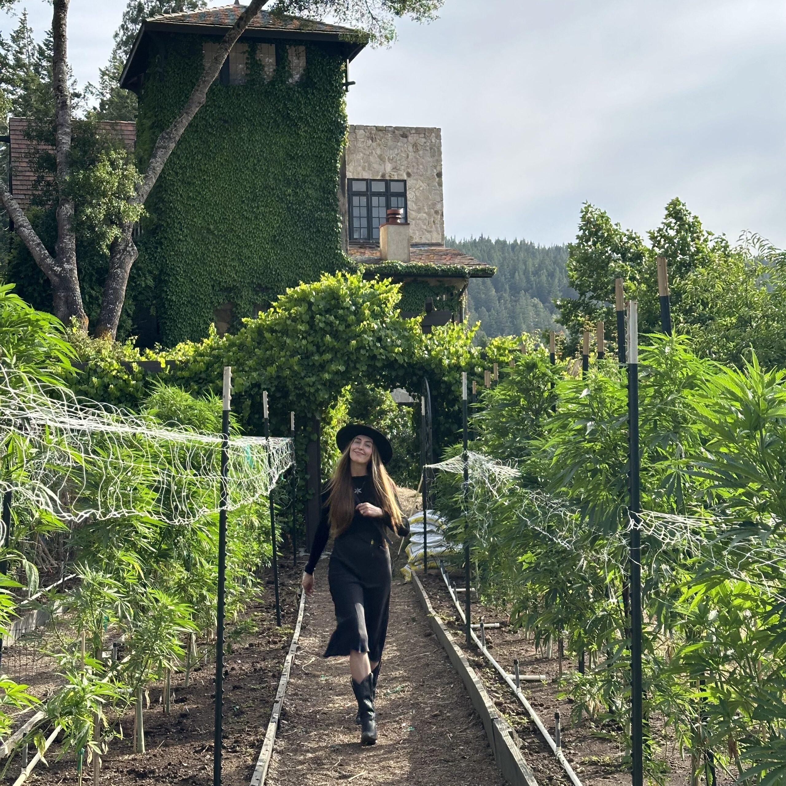 The Women Leading The Cannabis Industry